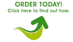 order today!