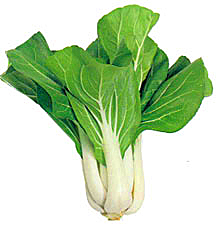 bok choy