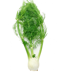 fennel